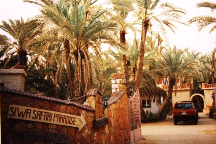 Siwa Paradise Siwa Oasis Exteriör bild